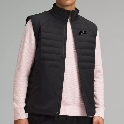Men's Down for It All Vest